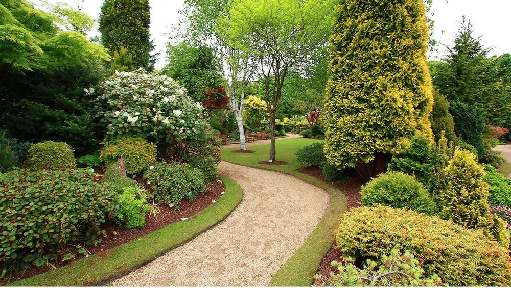 Professional yard maintenance in Quincy, MA by T&T Tree Service & Landscaping