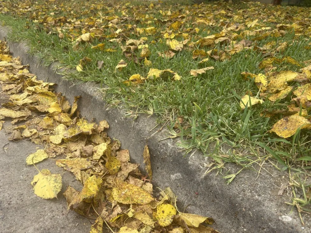 Local landscape design for year-round maintenance in Sulphur Springs, TX by Ttc Lawn Care