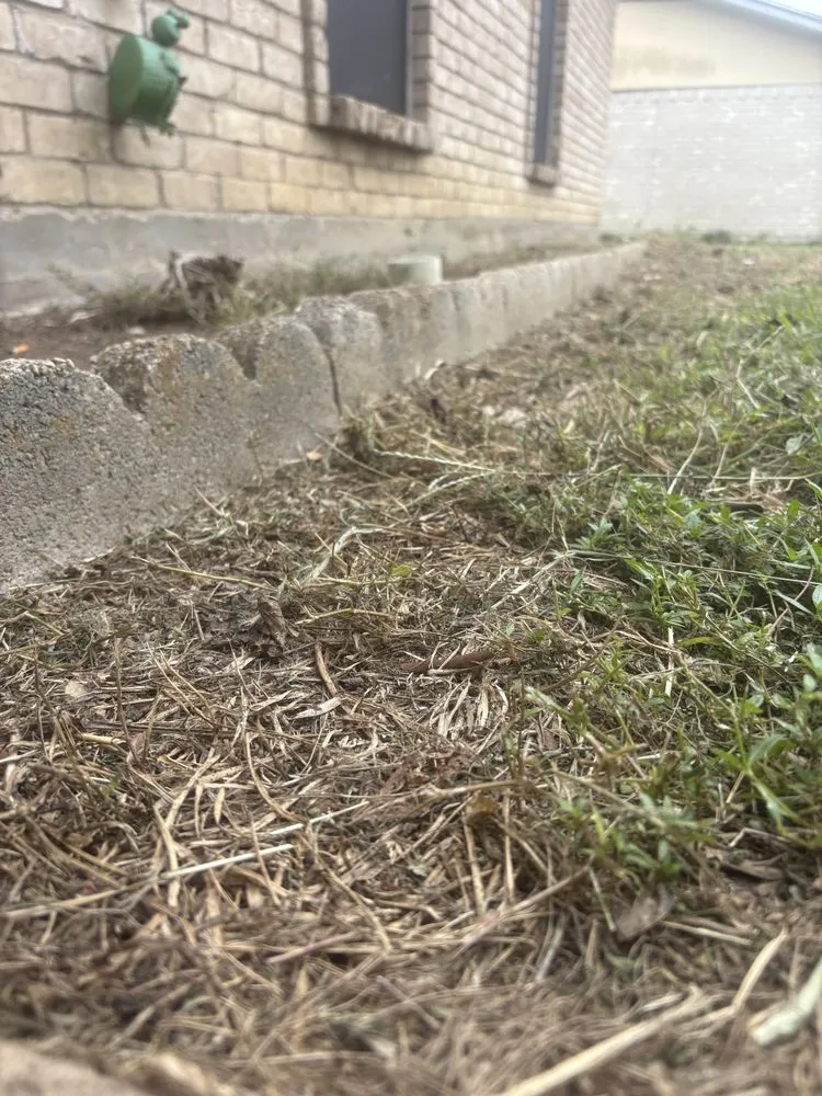 Trusted residential landscaping experts serving Sulphur Springs, TX - Ttc Lawn Care