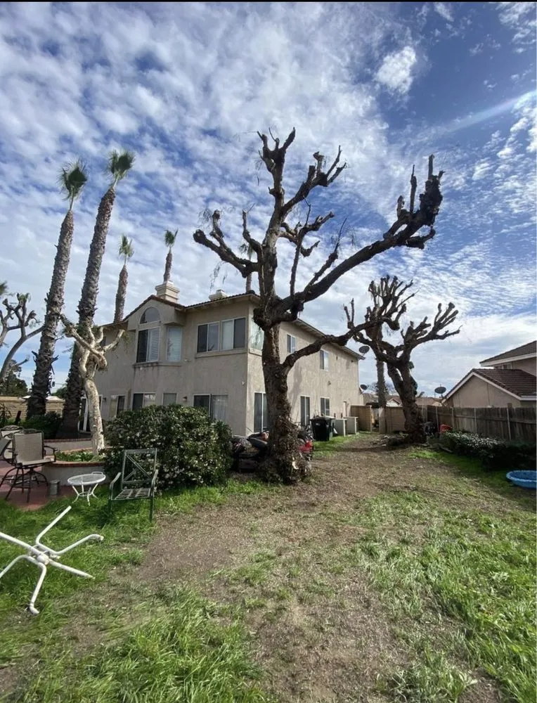 Trusted garden landscaping in Pomona, CA by TTG Landscaping & Irrigation