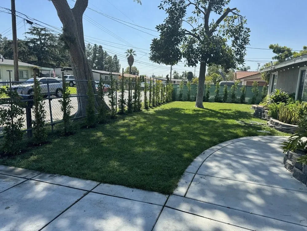 Affordable yard cleanup service in Pomona, CA - TTG Landscaping & Irrigation
