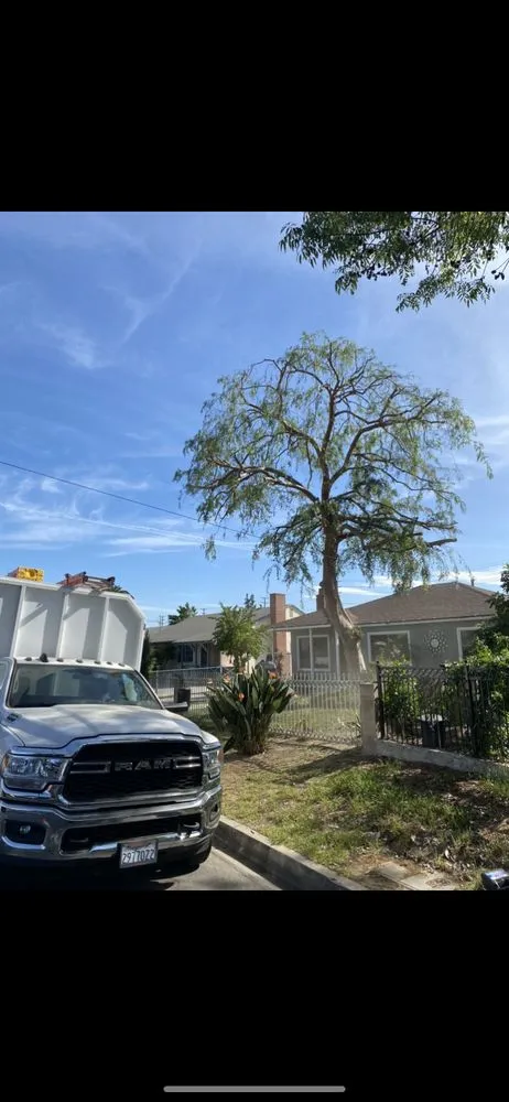 Reliable landscaping services in Pomona, CA - TTG Landscaping & Irrigation