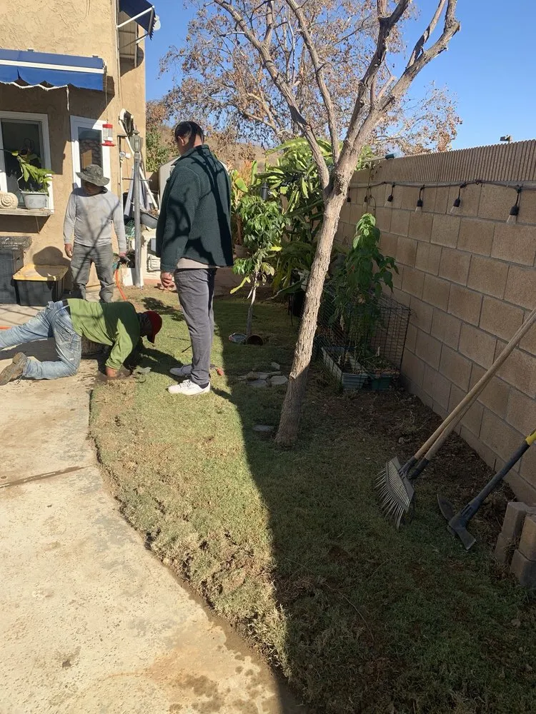 Professional garden landscaping in Pomona, CA - TTG Landscaping & Irrigation