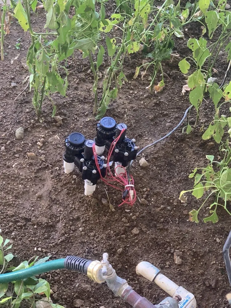 Professional lawn mowing service in Pomona, CA by TTG Landscaping & Irrigation