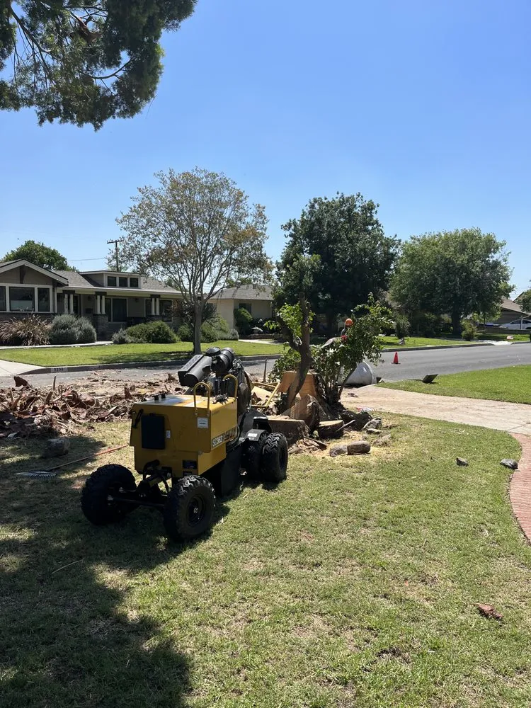 Trusted lawn care service experts serving Pomona, CA - TTG Landscaping & Irrigation