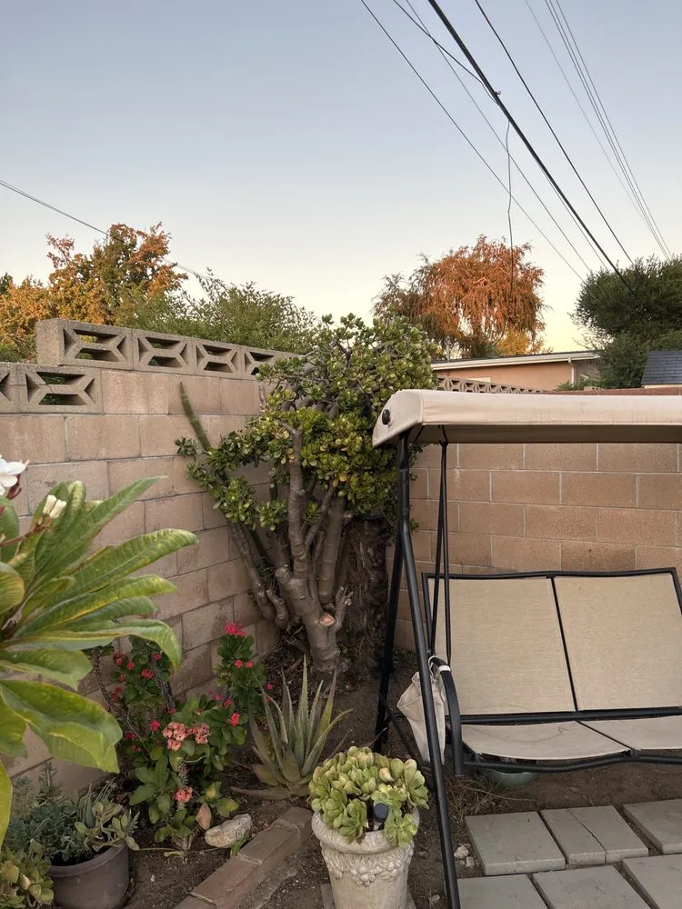 Custom landscape design experts serving Pomona, CA - TTG Landscaping & Irrigation