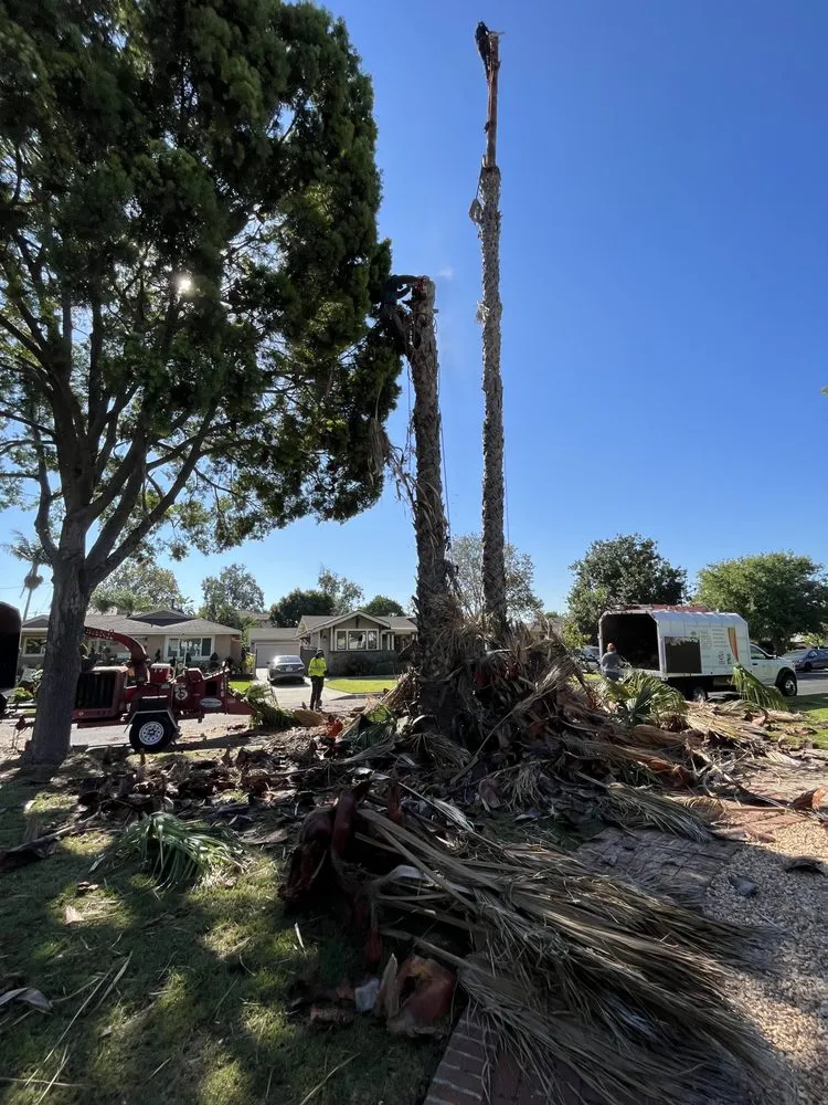 Expert lawn mowing service near you across Pomona, CA - TTG Landscaping & Irrigation