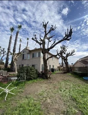 TTG Landscaping & Irrigation Logo