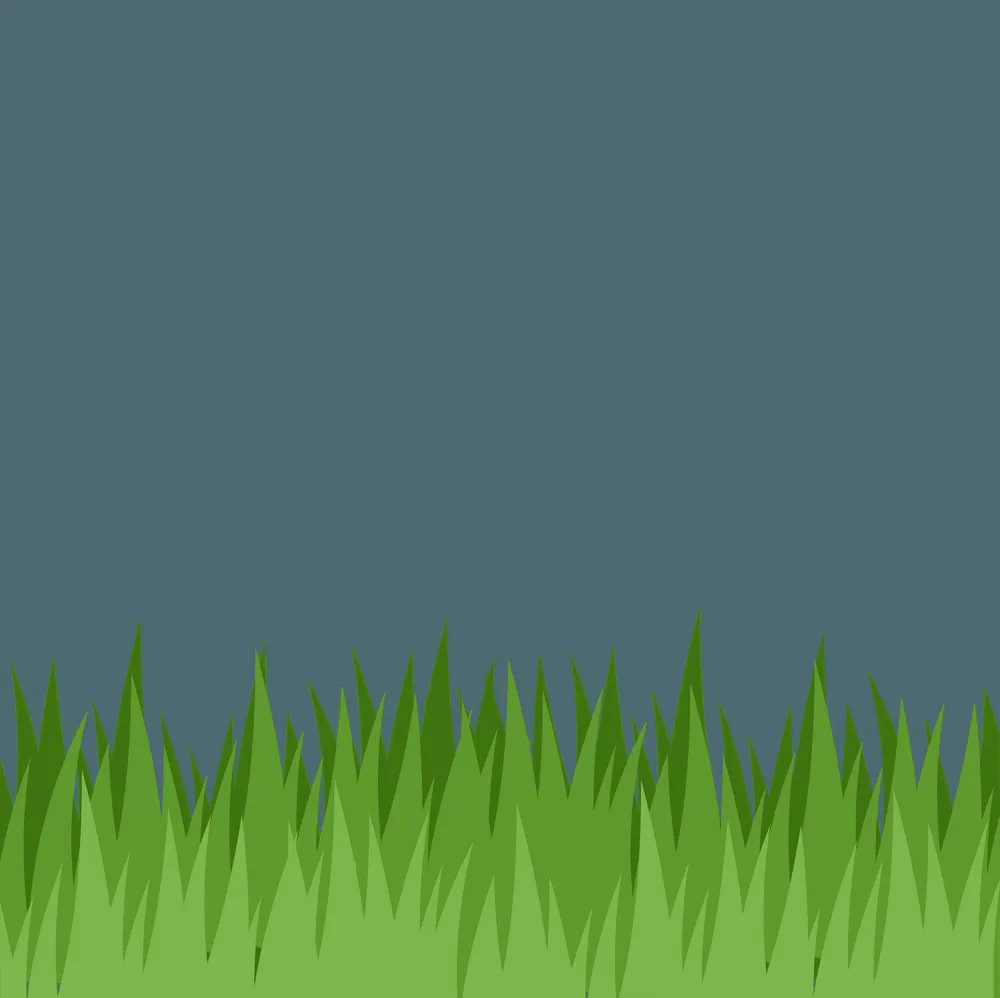 Affordable residential landscaping for residential properties in Liverpool, NY by Tti Ventures