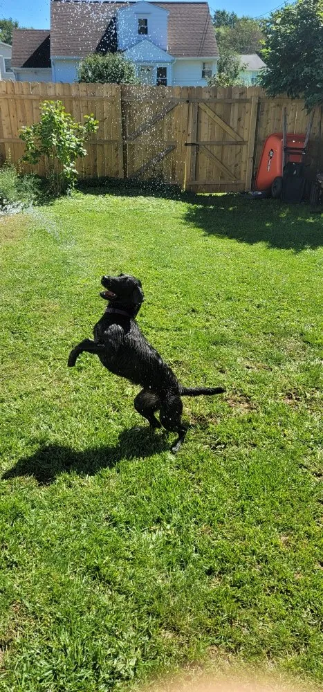 Expert garden landscaping for year-round maintenance across Liverpool, NY - Tti Ventures