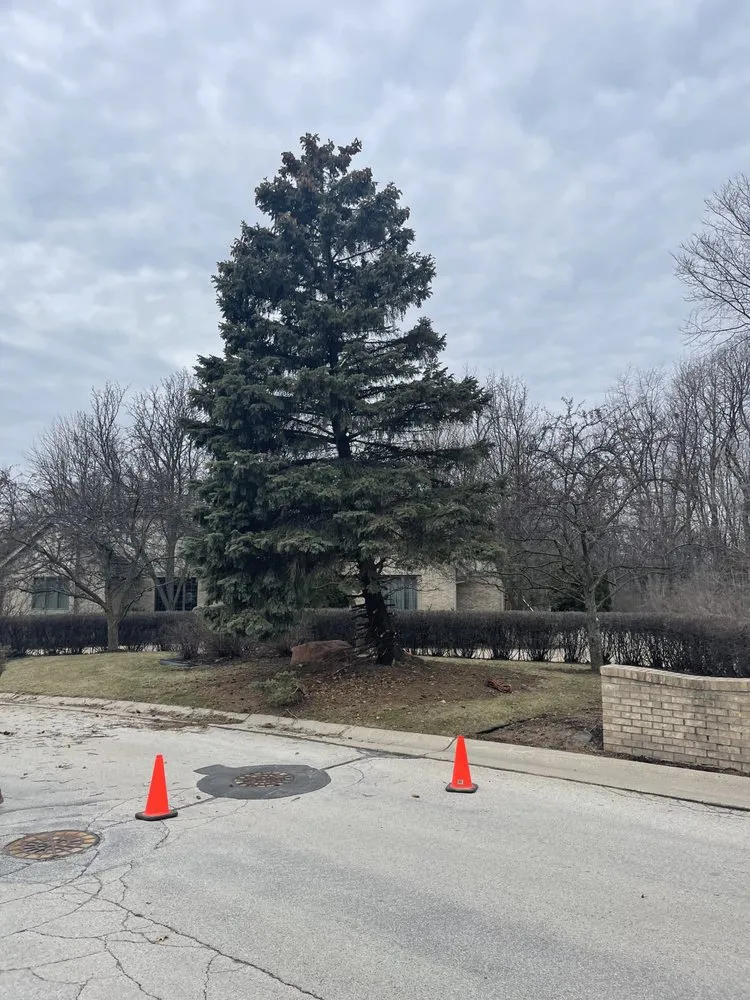 Local lawn mowing service for year-round maintenance in West Bend, WI by TTK Custom Services