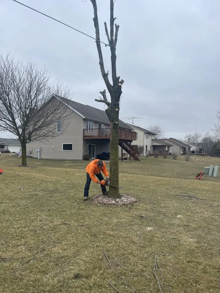 Custom lawn care service in West Bend, WI - TTK Custom Services