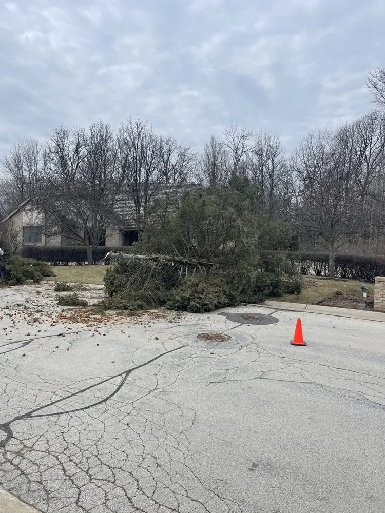 Local outdoor landscaping for beautiful yards in West Bend, WI by TTK Custom Services