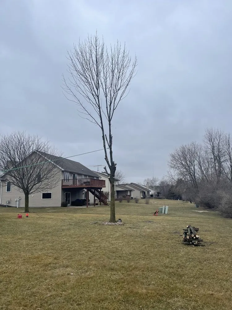 Expert outdoor landscaping for outdoor upgrades in West Bend, WI by TTK Custom Services