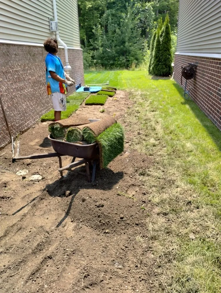 Professional landscaping services in Garden City, MI by TTL Services