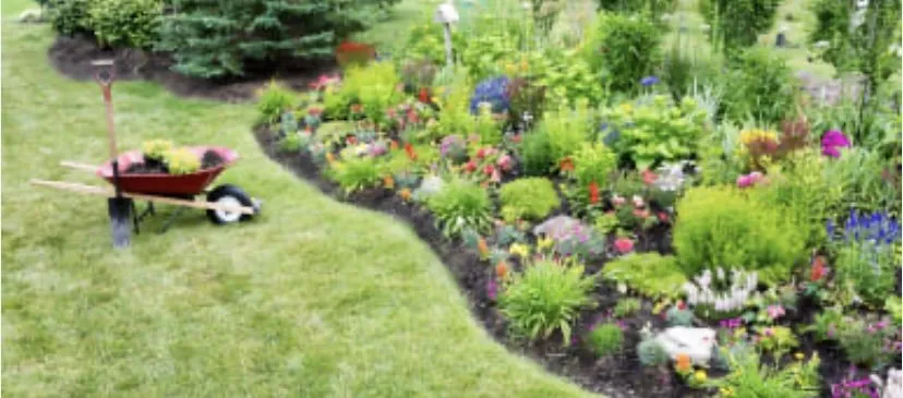 Custom lawn mowing service experts serving Ogden, UT - TTLT