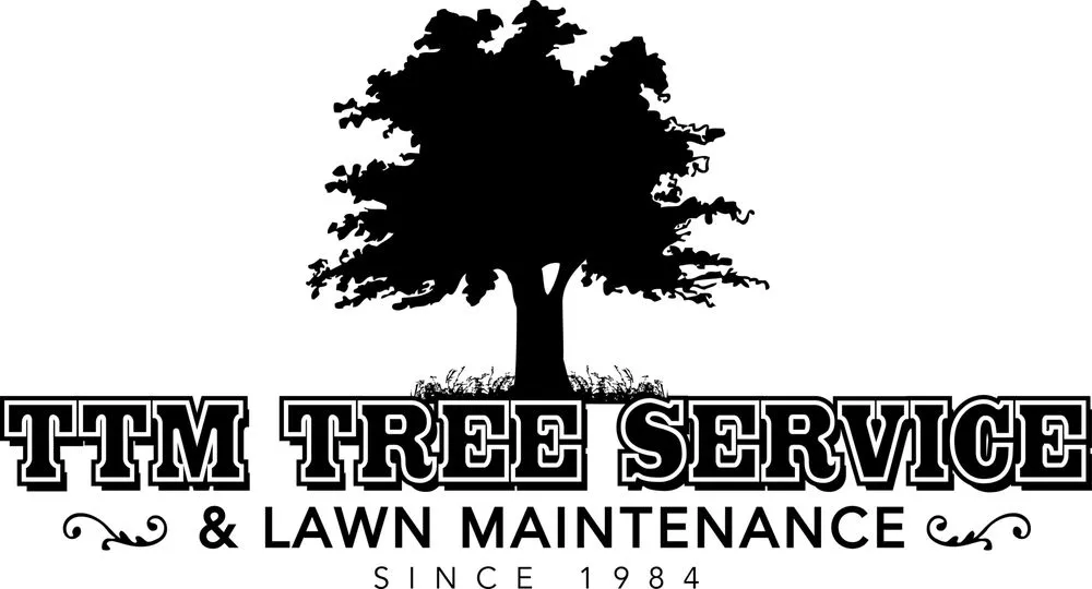 Custom landscape design experts serving Burleson, TX - TTM Tree Service & Landscaping