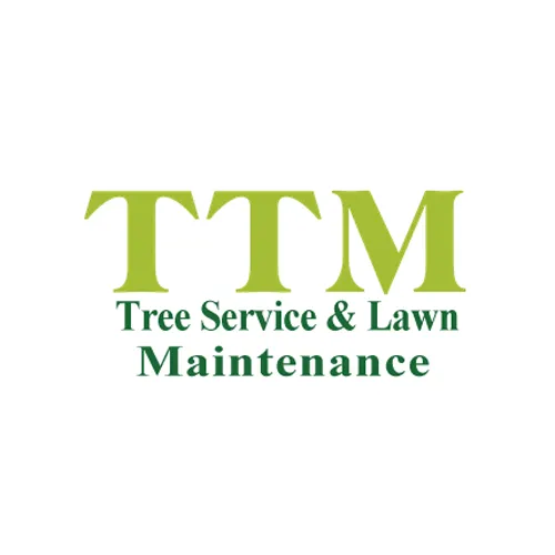 Custom outdoor landscaping in Burleson, TX by TTM Tree Service & Landscaping