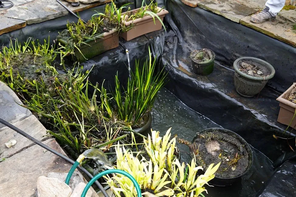 Trusted outdoor landscaping experts serving Asheville, NC - TTP Aquatic Maintenance