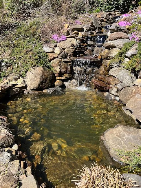 Trusted landscape installation for homes in Asheville, NC by TTP Aquatic Maintenance