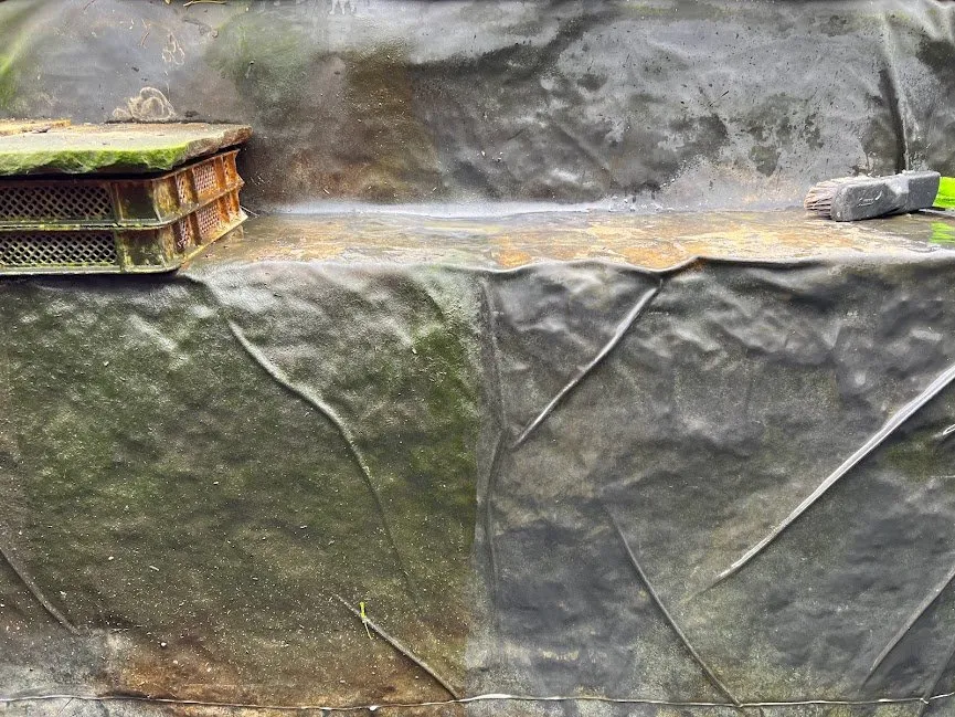 Local landscape design for residential properties across Asheville, NC - TTP Aquatic Maintenance