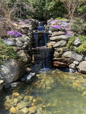 TTP Aquatic Maintenance Logo