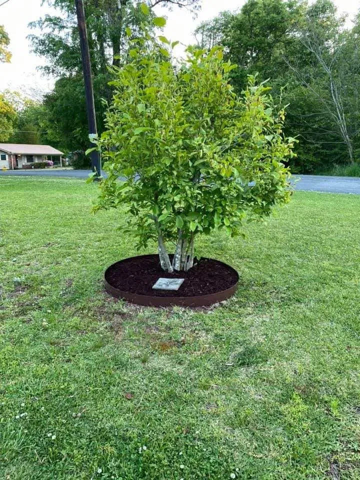 Local yard maintenance for homes across Meridian, MS - TT's Lawn Care