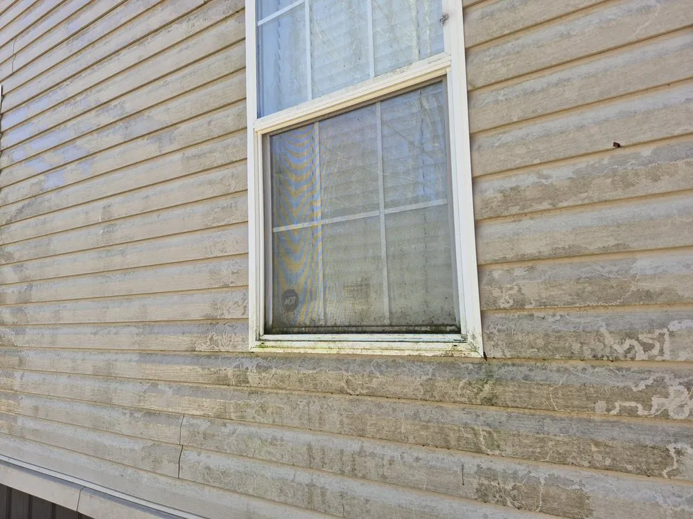 Local landscape design in Meridian, MS by TT's Lawn Care