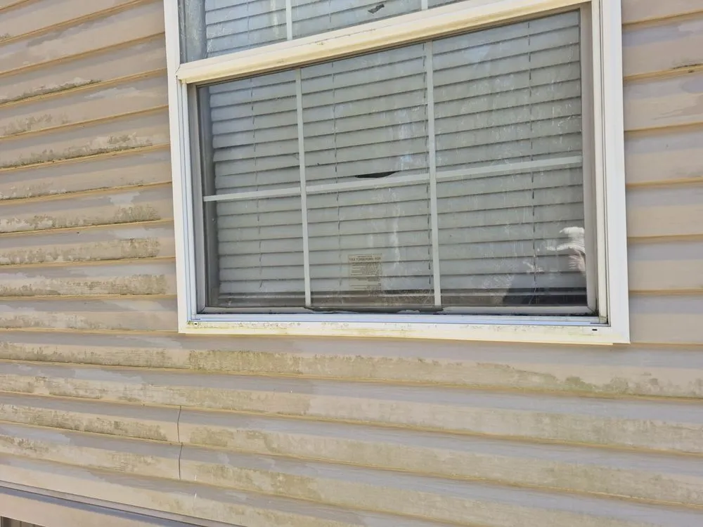 Top-rated outdoor landscaping experts serving Meridian, MS - TT's Lawn Care