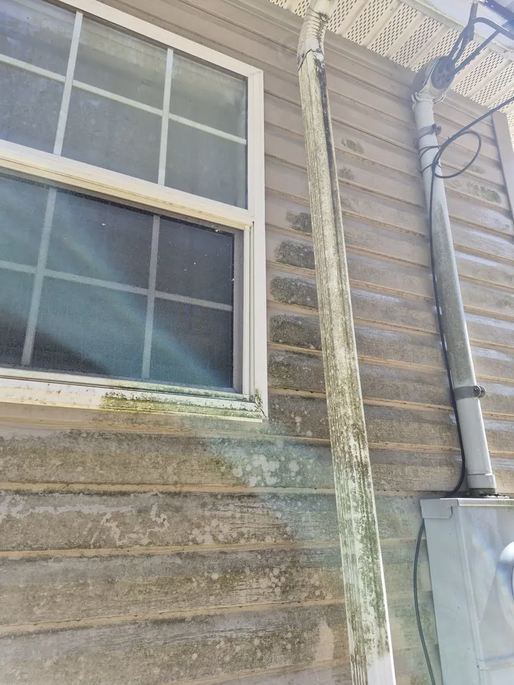 Reliable lawn mowing service in Meridian, MS by TT's Lawn Care