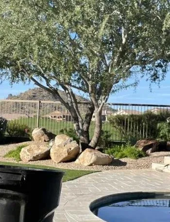 Reliable garden landscaping for homes in Apache Junction, AZ by TTT & Landscaping