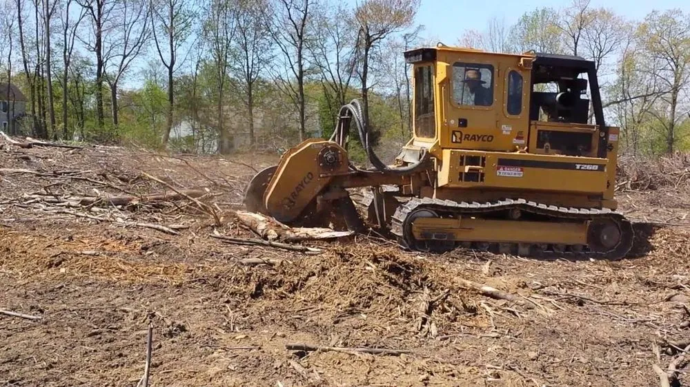 Expert landscape design in Apache Junction, AZ by TTT & Landscaping