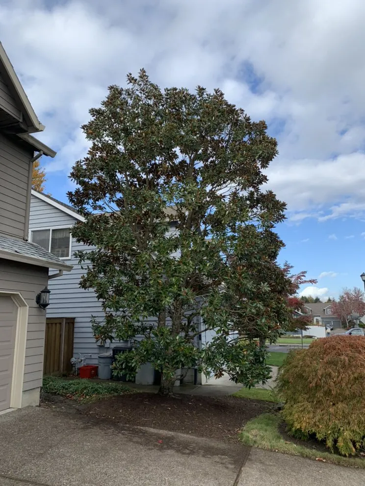 Expert garden landscaping in Tualatin, OR by Tualatin Valley Tree Care