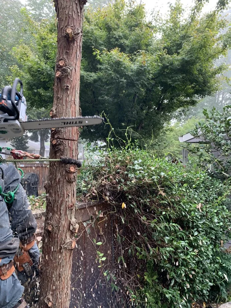 Affordable lawn mowing service for year-round maintenance in Tualatin, OR by Tualatin Valley Tree Care