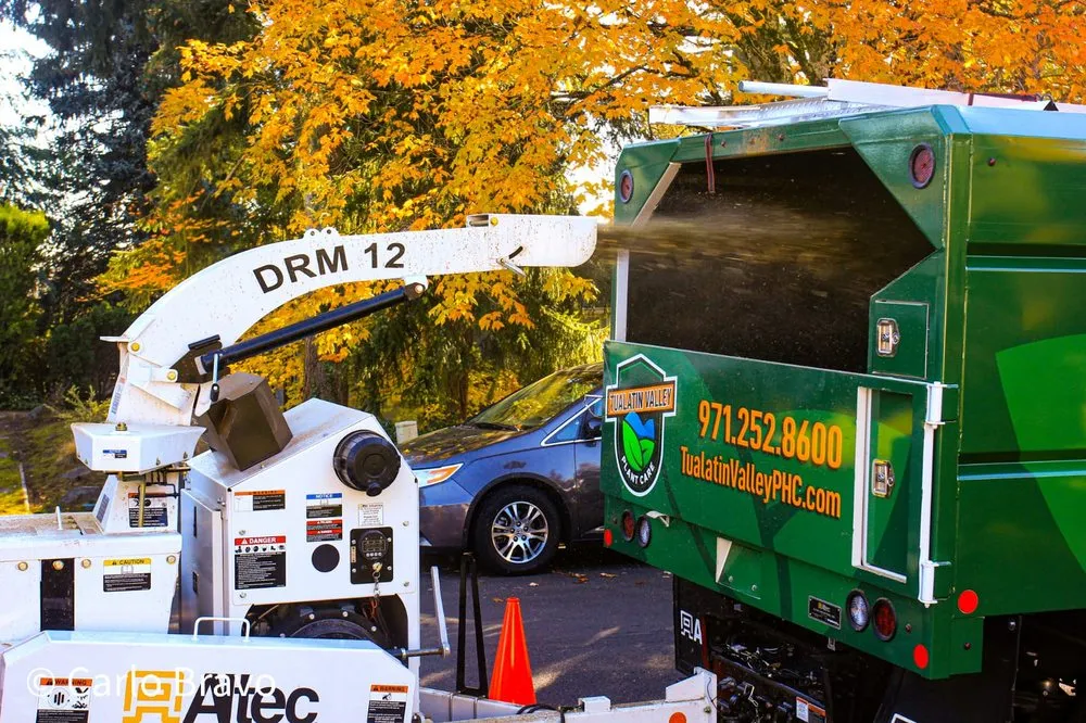 Custom garden landscaping in Tualatin, OR - Tualatin Valley Tree Care