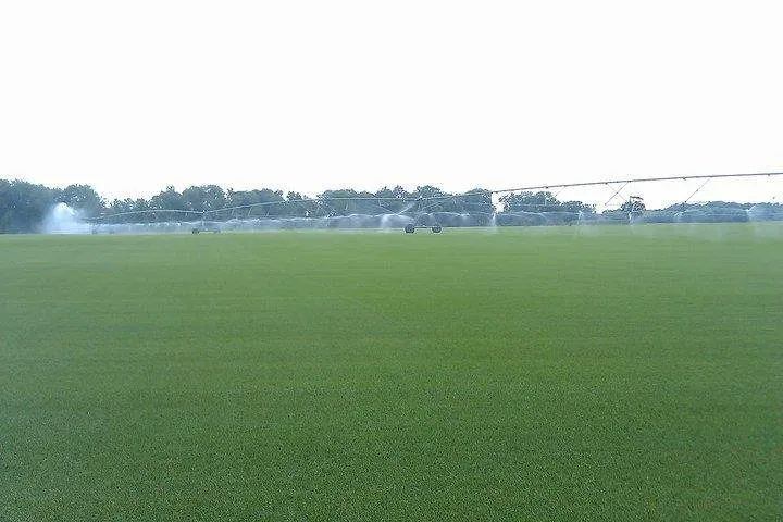 Trusted yard maintenance for outdoor upgrades across Hammonton, NJ - Tuckahoe Turf Farms