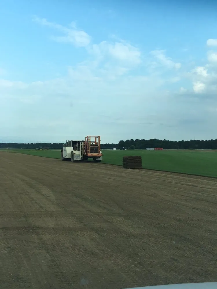 Affordable landscape design in Hammonton, NJ - Tuckahoe Turf Farms