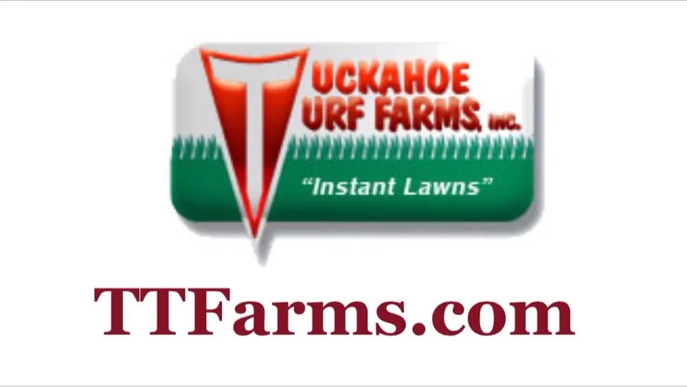Top-rated yard cleanup service with custom design across Hammonton, NJ - Tuckahoe Turf Farms