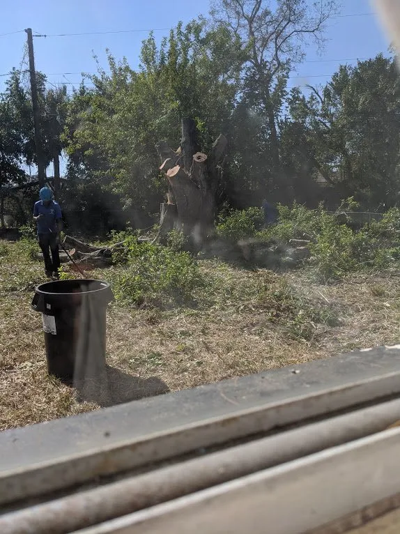 Local outdoor landscaping for homes in Oldsmar, FL by Tucker Enterprise Services