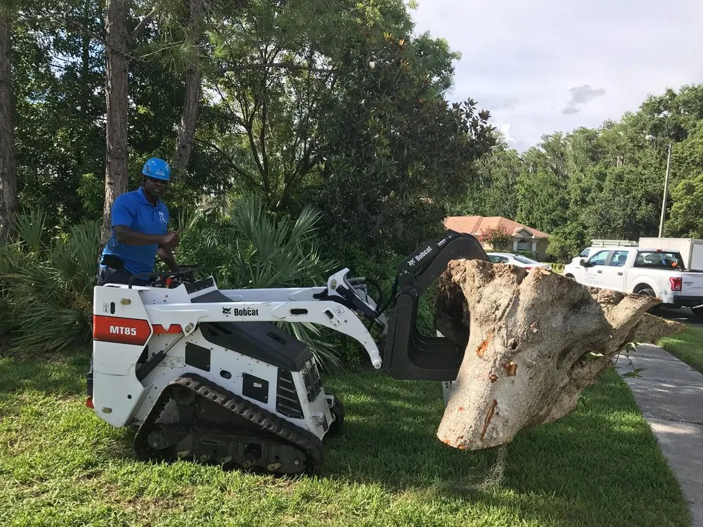 Custom residential landscaping in Oldsmar, FL - Tucker Enterprise Services