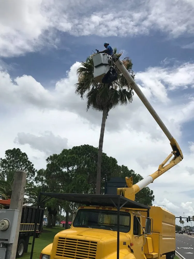 Affordable outdoor landscaping in Oldsmar, FL by Tucker Enterprise Services