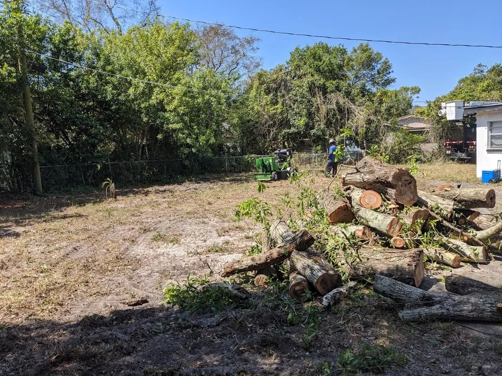 Trusted landscape design in Oldsmar, FL by Tucker Enterprise Services