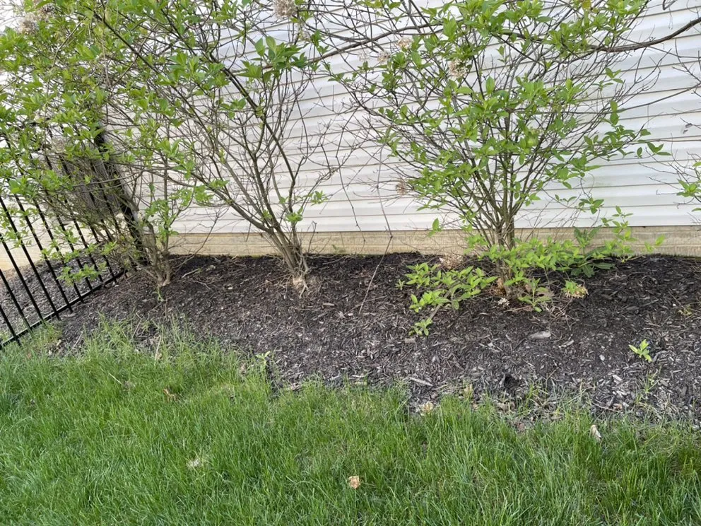 Expert yard maintenance for outdoor upgrades across Cleveland, OH - Tucker Landscaping