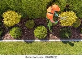 Top-rated yard cleanup service for year-round maintenance across Cleveland, OH - Tucker Landscaping