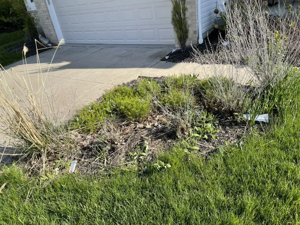 Custom yard maintenance in Cleveland, OH - Tucker Landscaping