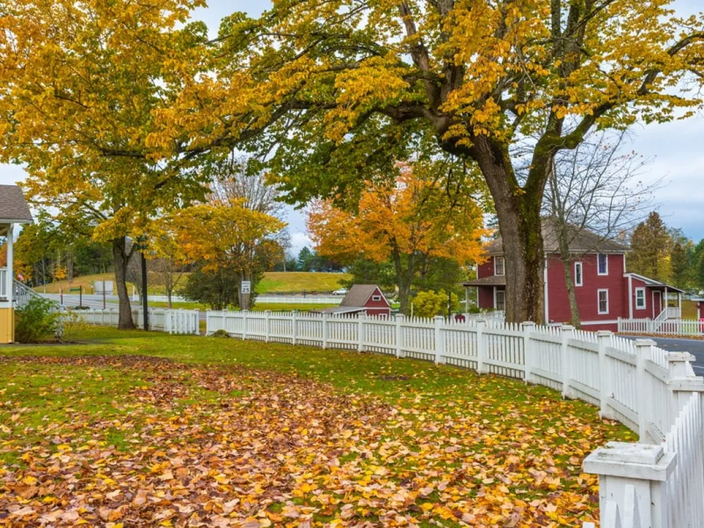 Reliable landscape design in Missoula, MT - Tucker Lawn & Maintenance