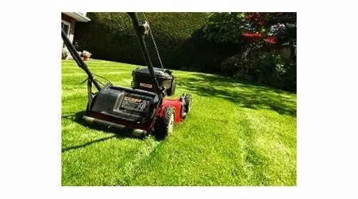 Reliable landscape design in Missoula, MT by Tucker Lawn & Maintenance