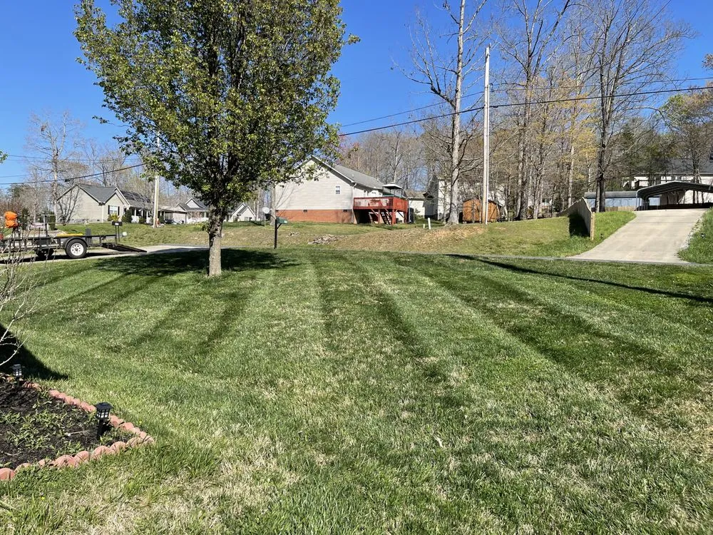 Custom yard cleanup service experts serving Randleman, NC - Tucker Lawn Care