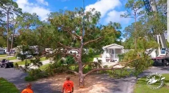 Affordable garden landscaping near you across Geneva, FL - Tucker Outdoors