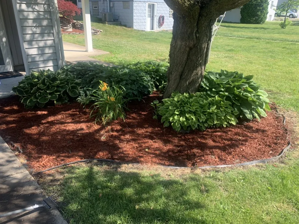 Custom lawn mowing service experts serving Fremont, OH - Tucker Tools